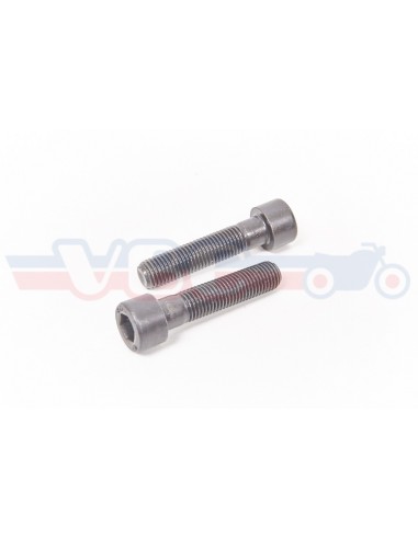 2 VIS ADAPTABLES BTR ETRIER DE FREIN  90165-300-023P