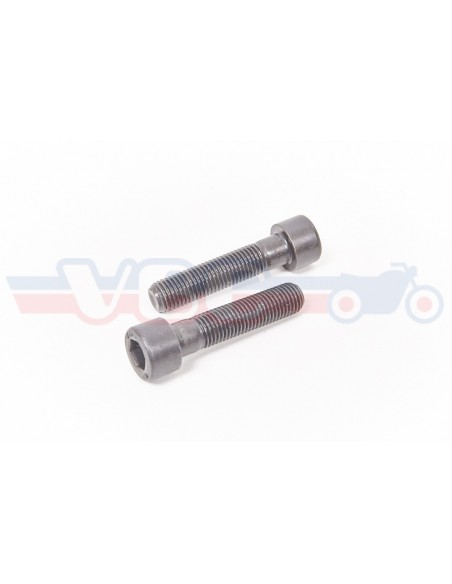 2 VIS ADAPTABLES BTR ETRIER DE FREIN  90165-300-023P
