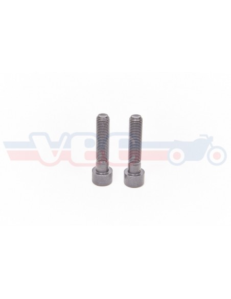 2 VIS ADAPTABLES BTR ETRIER DE FREIN  90165-300-023P