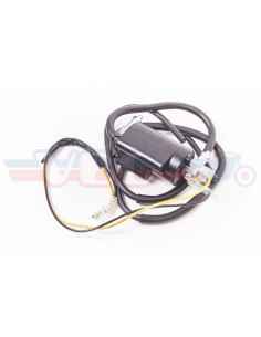 Bobine KAWASAKI Z900 Z1000 Z650