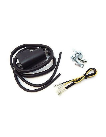 Bobine Haute Tension 30501-300-003P