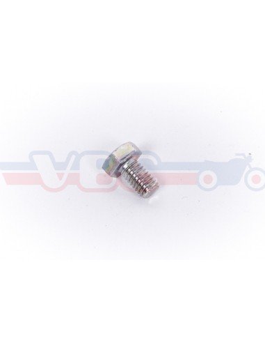 Vis tete hexagonale 6x10 92101-060-100A