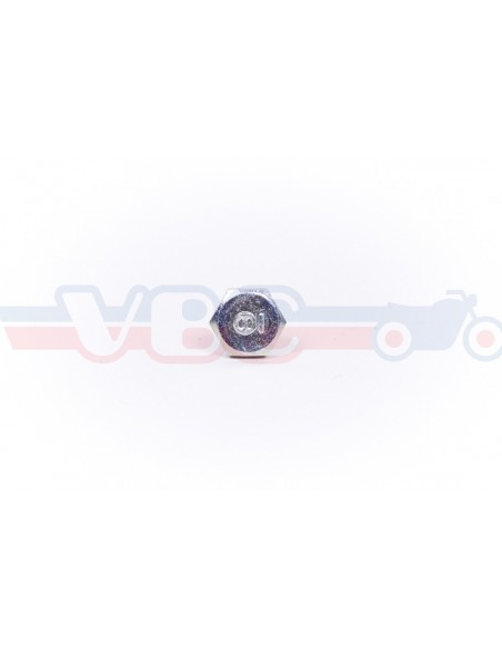 Vis tete hexagonale 6x10 92101-060-100A