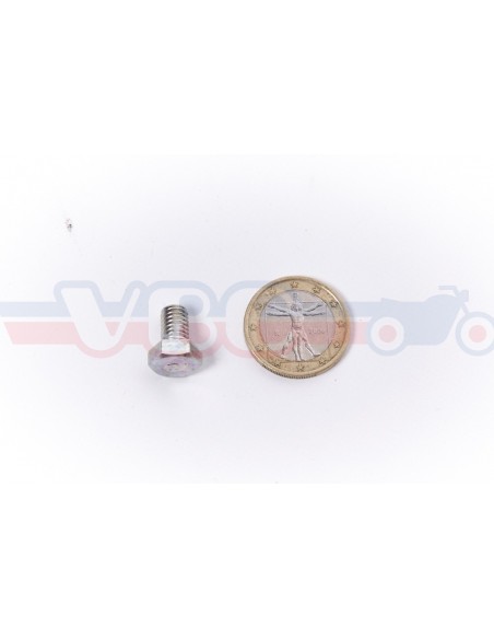Vis tete hexagonale 6x10 92101-060-100A