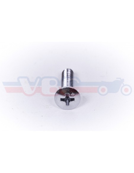Vis tete fraisée cruciforme chromée 5x20 93700-050-200B