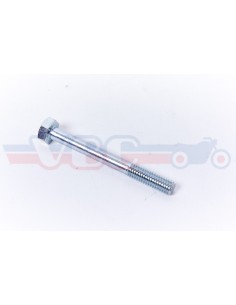 Vis 6 x 55 92101-060-550A