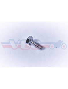 vis tete hexagonale chromée 6x16 92101-060160B