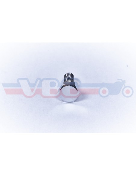 vis tete hexagonale chromée 6x16 92101-060160B