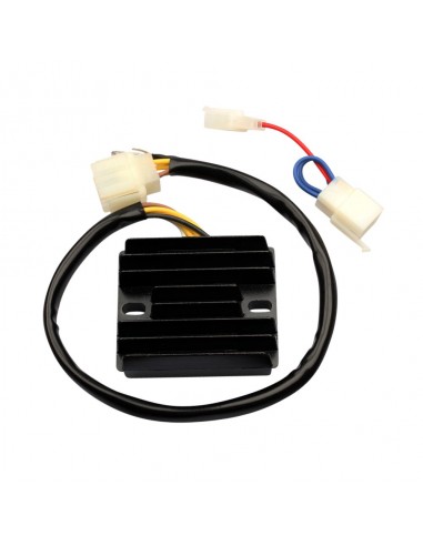 Résistance Régulateur Souffleur Dromedary Pour Renault Scénic II/Mégane II - 12V, 10 Broches, Réf. 7701209803